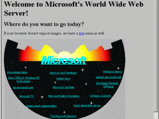 Microsoft 20jaar online