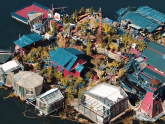 Off the Grid on a Homemade Island