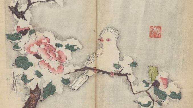 's Werelds oudste gedrukte boek in kleur online