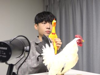 Toto met een kip