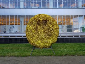 Art Rotterdam 2020 - 2